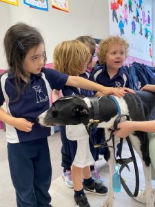 group of young school children stroking a dog