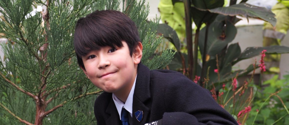 Student helping to plant tree