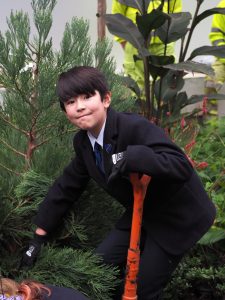 Student helping to plant tree